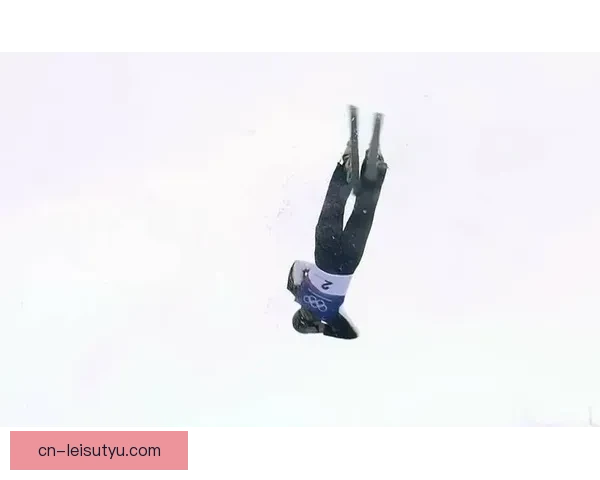 中国队第四金王心迪男子空技夺冠